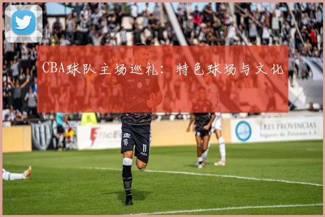 CBA球队主场巡礼：特色球场与文化