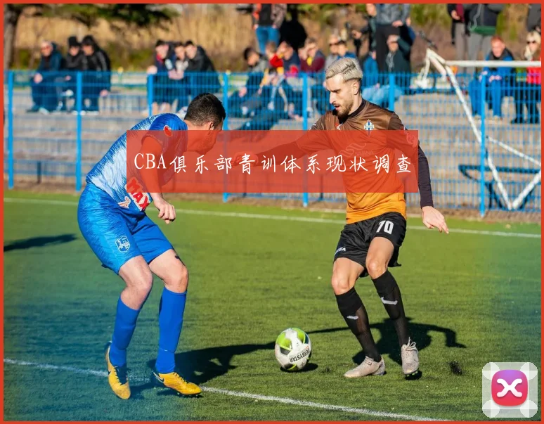 CBA俱乐部青训体系现状调查